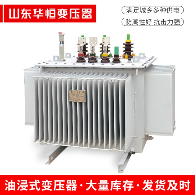 S13-10000/35海南海南海南电力变压器
